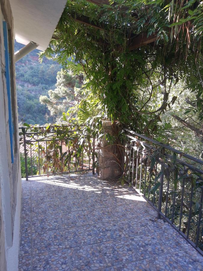 Sea-side Old Stone Villa with a private Garden Budua Esterno foto