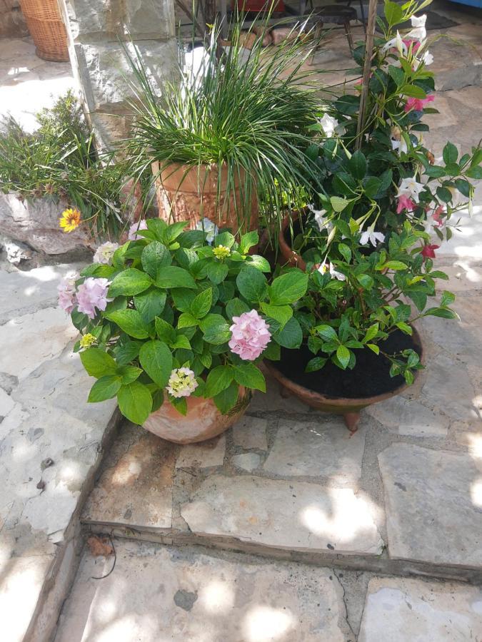 Sea-side Old Stone Villa with a private Garden Budua Esterno foto