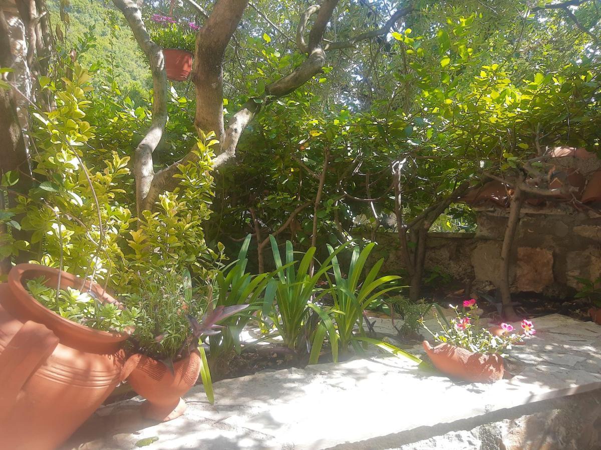 Sea-side Old Stone Villa with a private Garden Budua Esterno foto