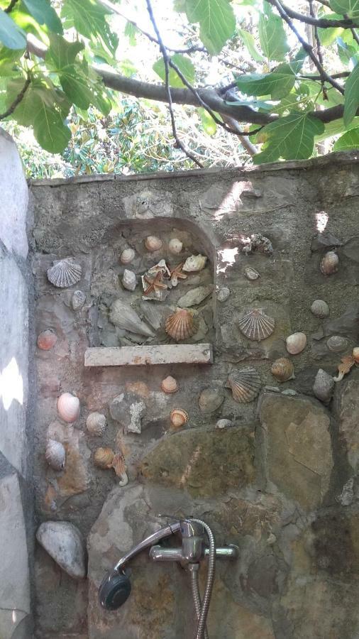 Sea-side Old Stone Villa with a private Garden Budua Esterno foto